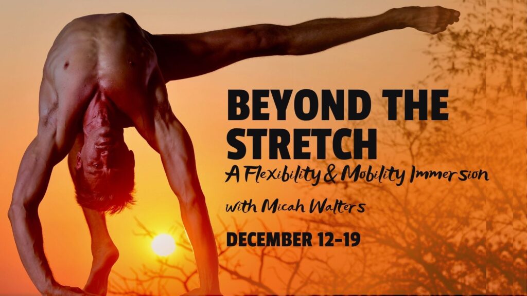 The programs featured image